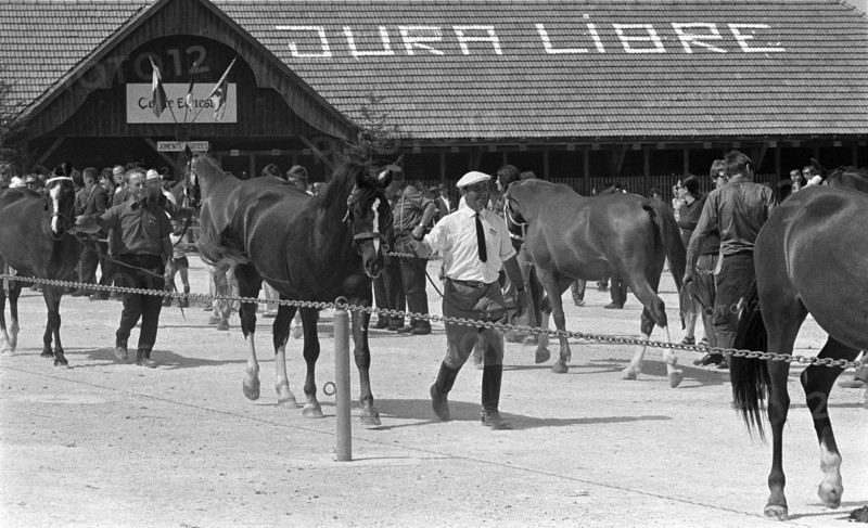69th Marché-Concours Saignelégier, 1972.
