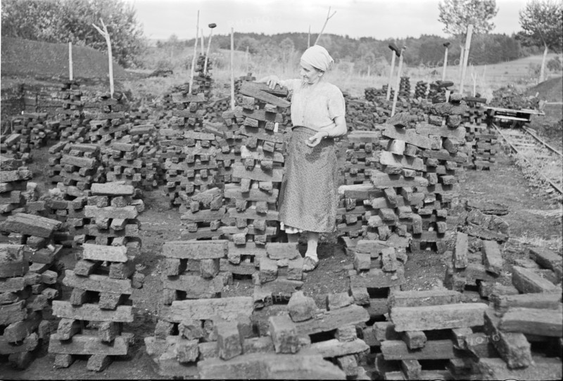 Cutting peat for briquettes; piles 1940.