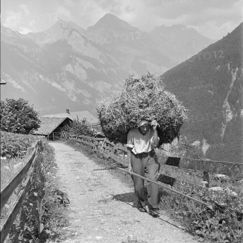 Hay harvest in Isenfluh, 1959.