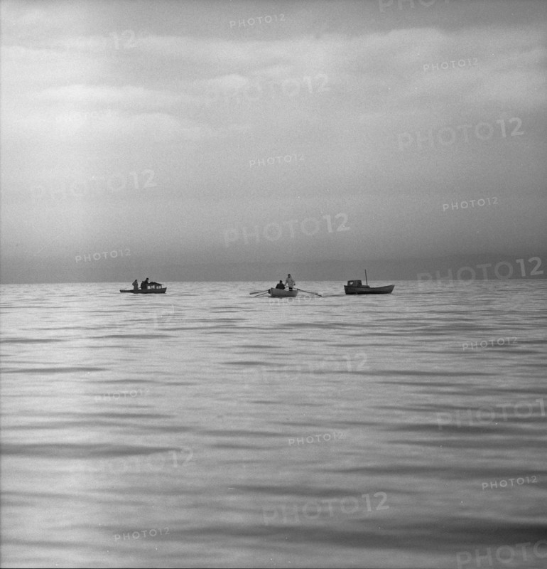 Catching whitefish in the Lake Constance, 1957.