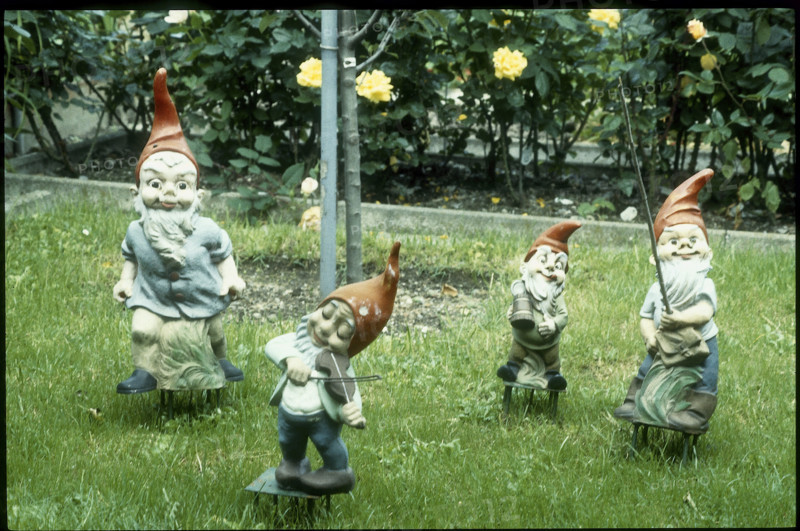 Allotment with garden gnomes 1980.