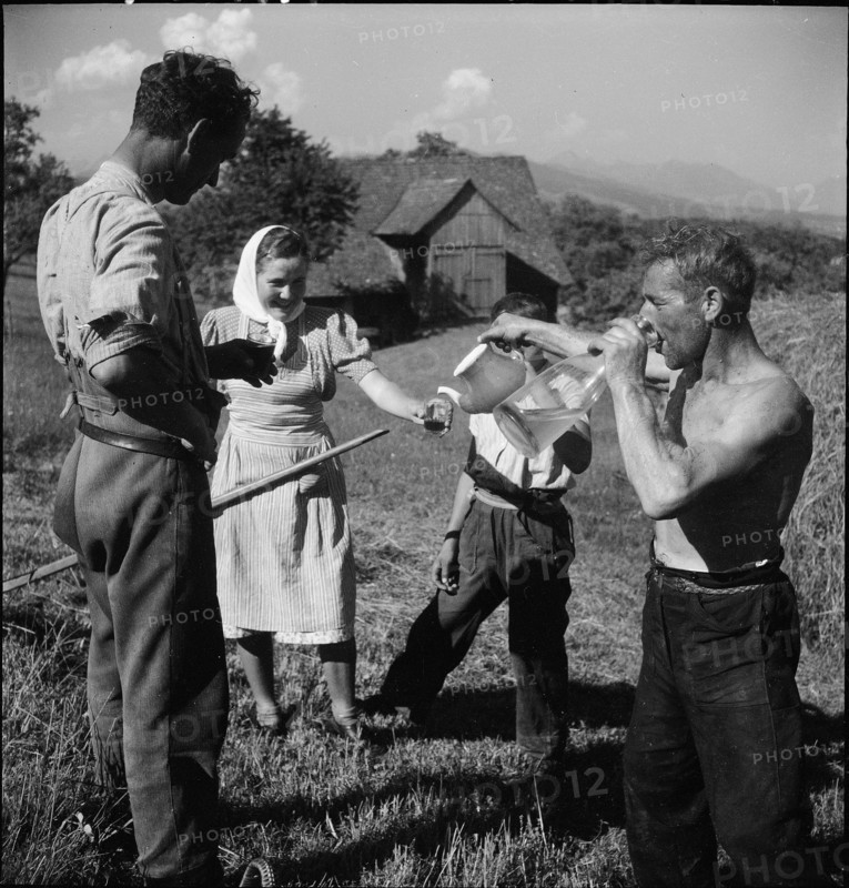 Farmers; hay harvest; 1943.