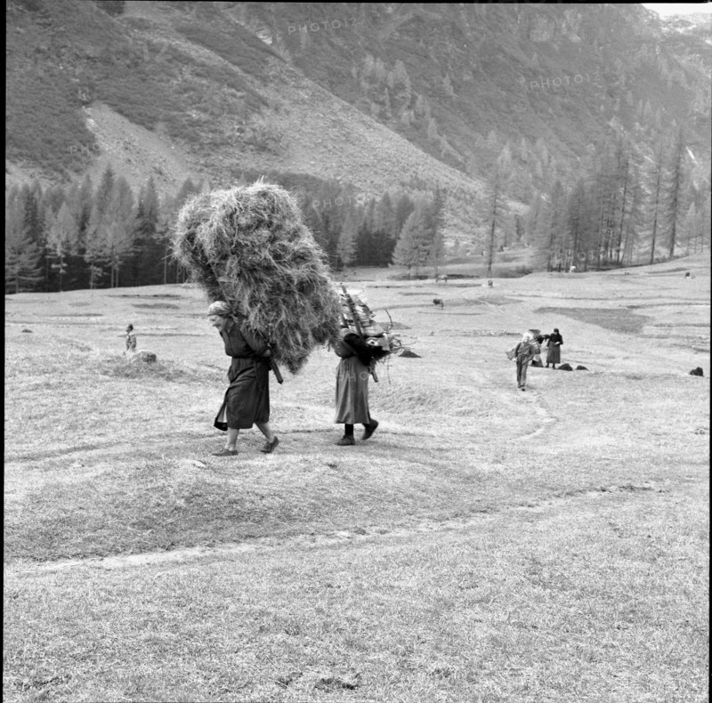 Women Working in the Field, Bosco Gurin 1956.