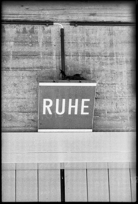 Breeding blackbird's nest on lamp with letters 'Ruhe' 1970.