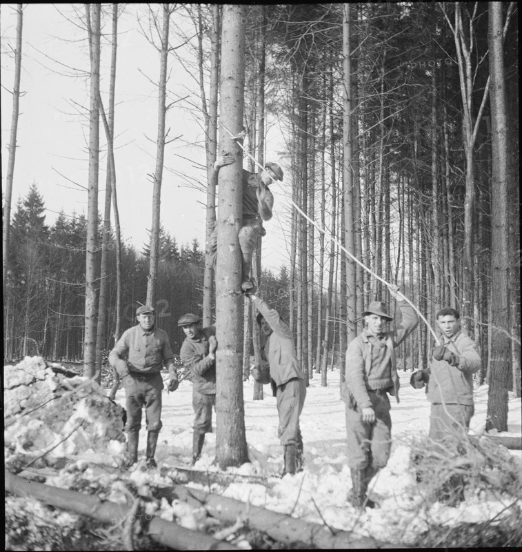 Land reclamation, extend area of cultivable land; ; clearing; 1942.