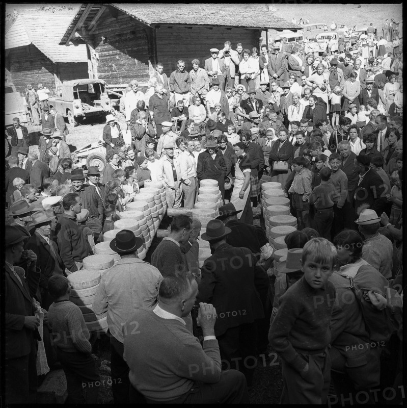 Distribution of cheese in the Justistal Valley, 1964.
