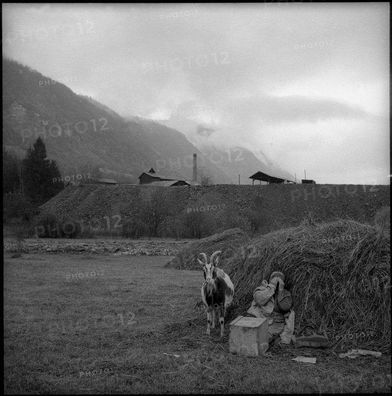 Valais, Grône, woman with goat in front of a coal mine; 1957.