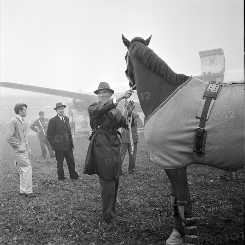 Olympic Games Tokyo 1964: departure of swiss riding team, Zurich-Kloten airport; Chammartin.