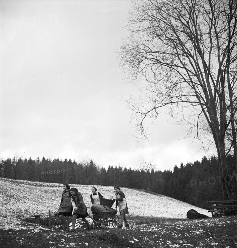 Girls collect fir cones for heating, 1944.