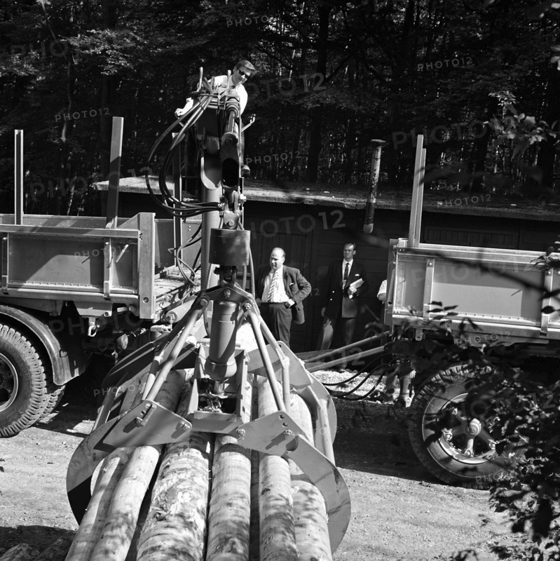 transport of tree trunks with crane.