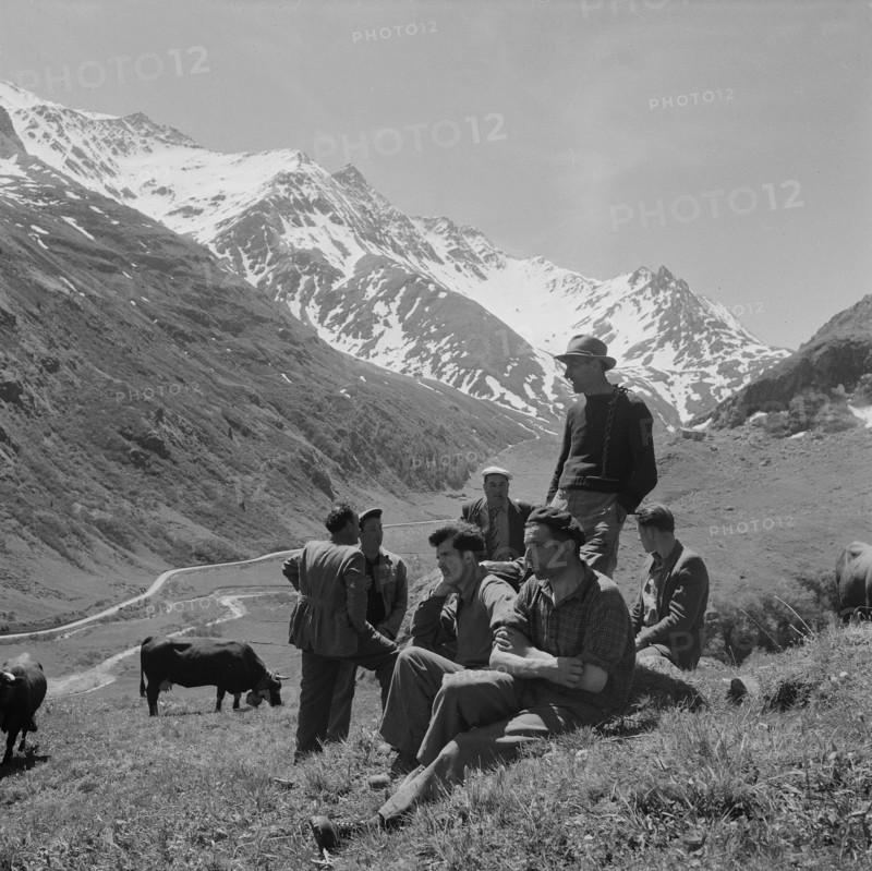 Farmers resting in the mountain pastures, 1955.