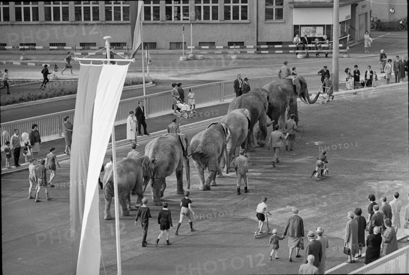 Basle, procession, inauguration of Luzernerring bridge; 1965.
