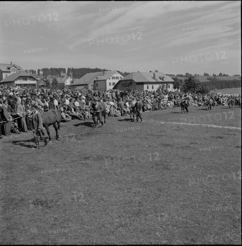48th Marché-Concours Saignelégier, Presentation, 1951.