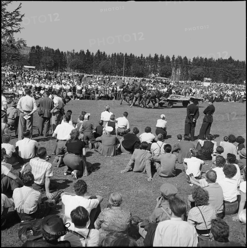 50th Marché-Concours Saignelégier, four-in-hand, 1953.
