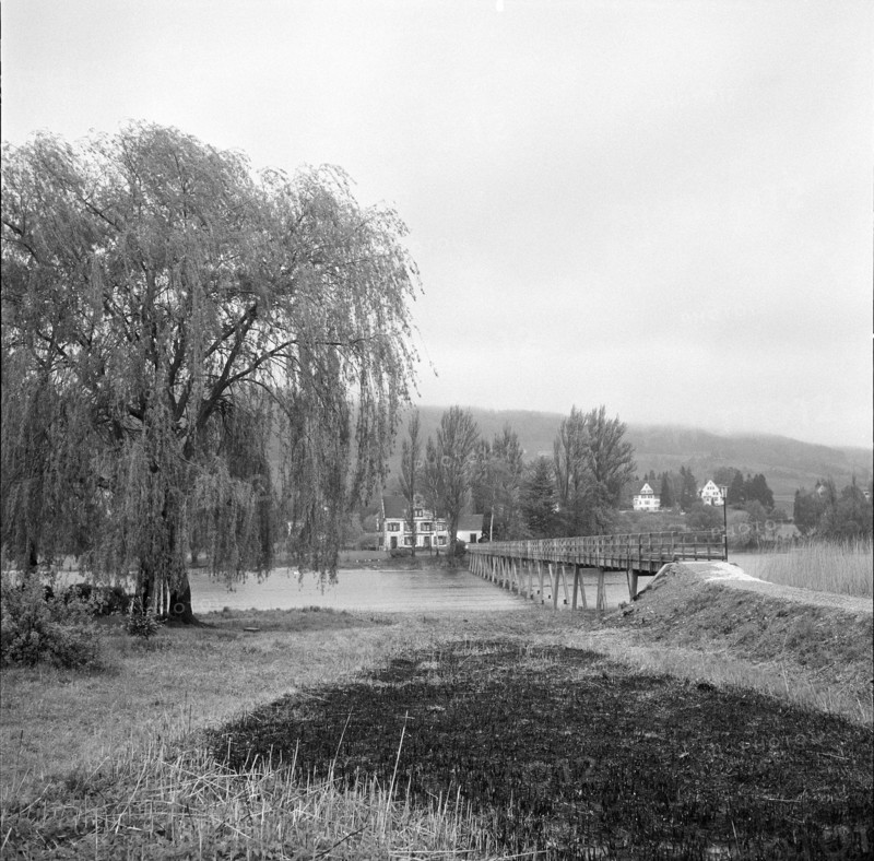 Renovated Rhine bridge, Stein a. Rhein; 1959.