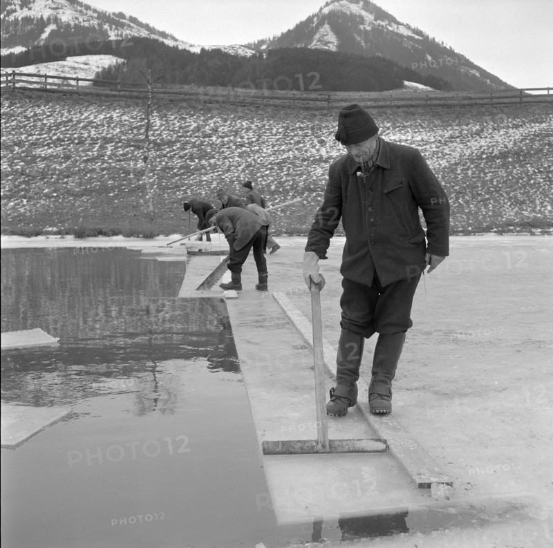 Workers Providing Ice for the Schützengarten Brewery, 1957.