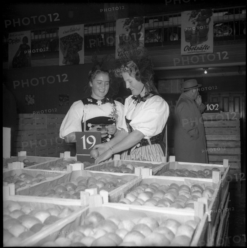 Veiling, lot at fruit auction in Burgdorf 1956.