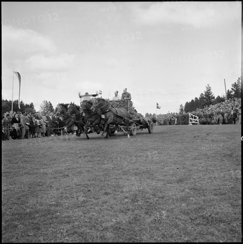 53rd Marché-Concours Saignelégier, chariot race, 1956.