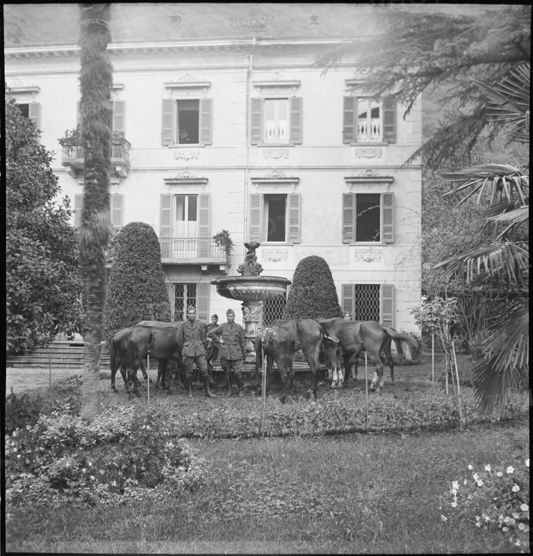 WW 2: border; italian soldiers with horses, Chiasso around 1943.