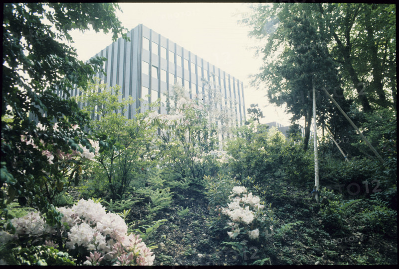 Institute of Systematic Botany Zurich 1986.