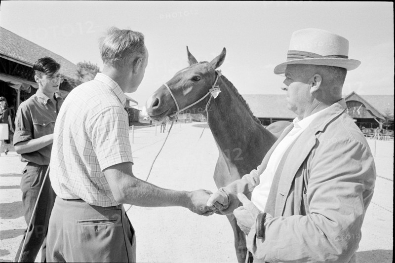 66th Marché-Concours Saignelégier, 1969.