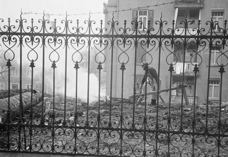 WW 2: man burning tree, trees, bush, bushes, Zurich 1941.