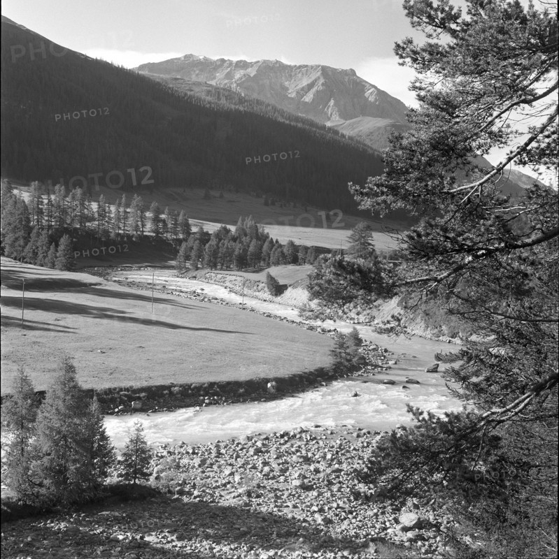 Punt dal Gall 1958.