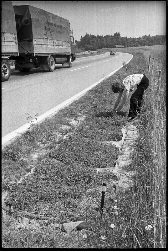 Test gardening along the motorway, 1972.
