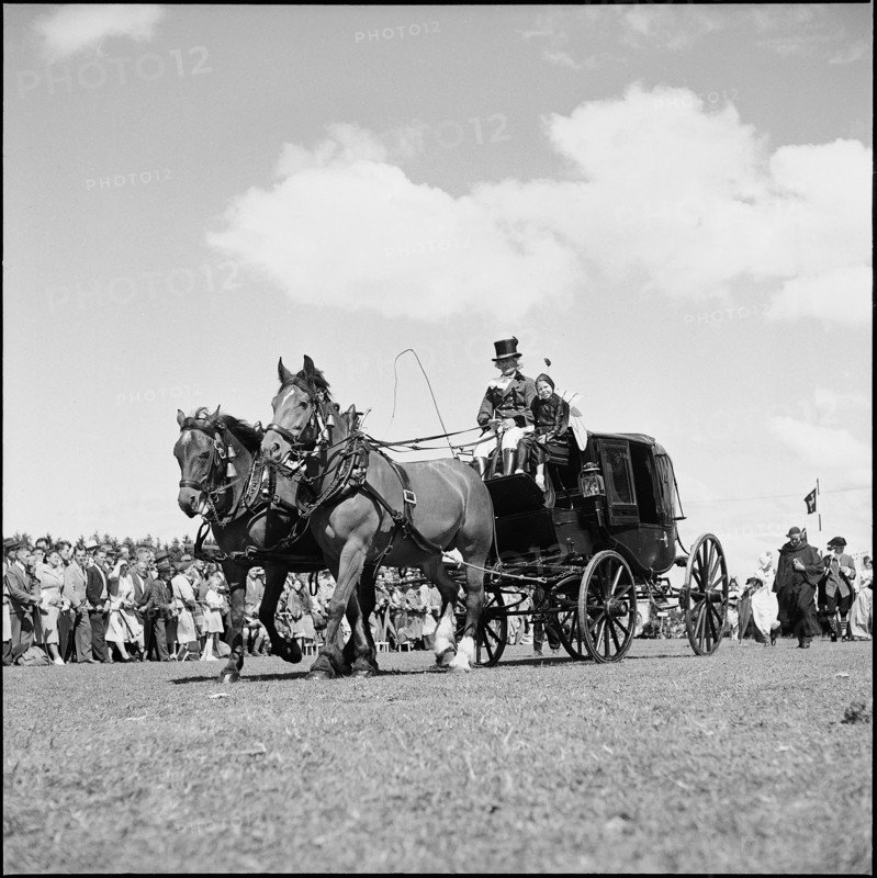 49th Marché-Concours Saignelégier, Coach, 1952.