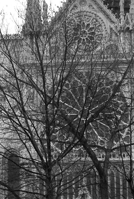 1975, Paris, Notre Dame Cathedral.