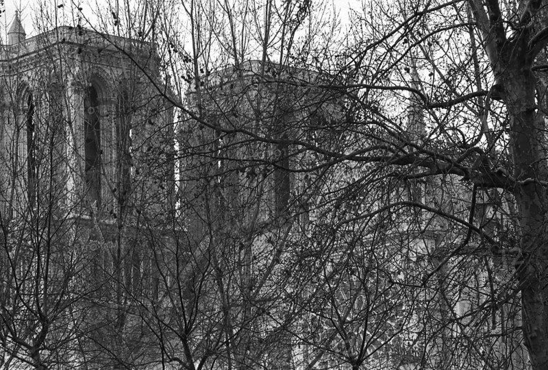 1975, Paris, Notre Dame Cathedral.