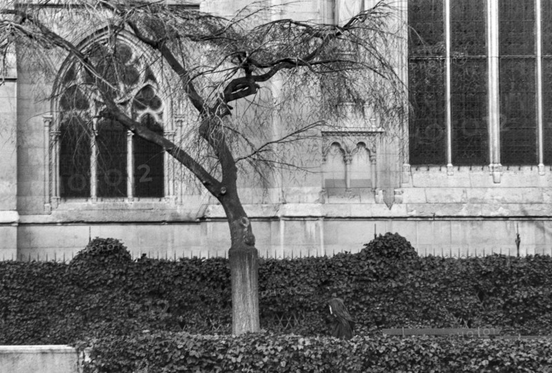 1975, Paris, Notre Dame Cathedral.