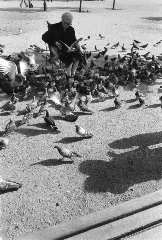 1975, Paris, Tuileries Gardens.