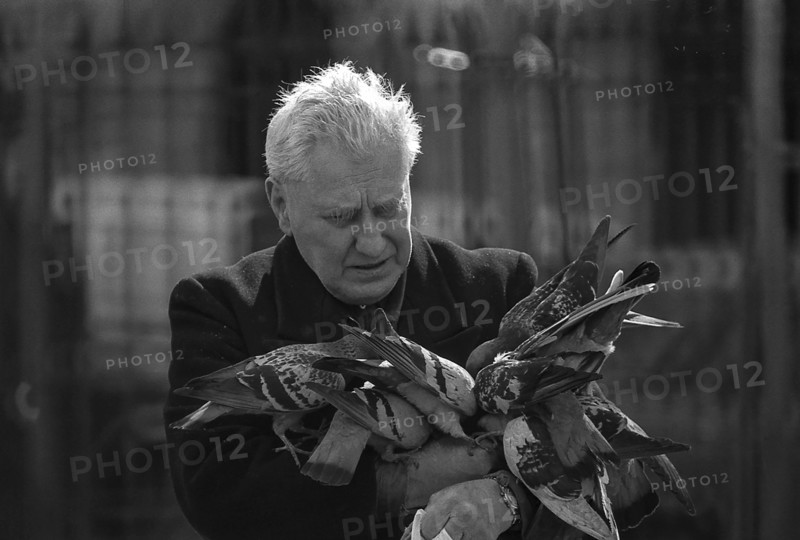 1975, Paris, Marais,  old man with pigeons.