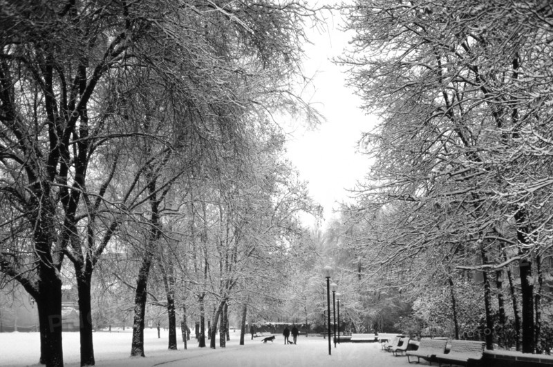 1975, Milan, park with snow.