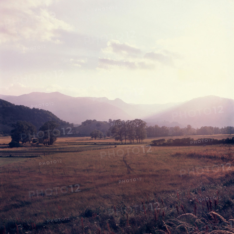 Nature, Italy, region of Abruzzo, 1975 Abruzzo Natural Park natural reserve.