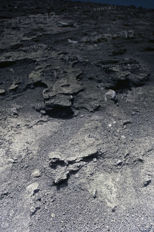 Nature, Italy, region of Campania, 1975 Vesuvius volcano.