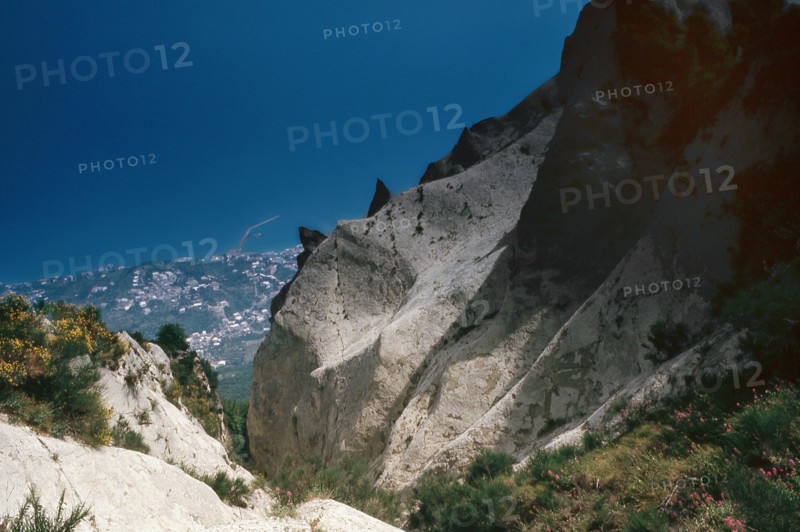 Nature, Italy, region of Campania, 1975 Ischia Monte Epomeo.