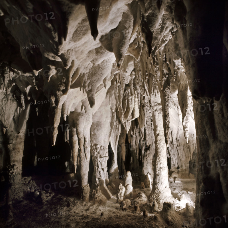 Nature, Italy, region of Campania, 1975 Pertosa-Auletta Caves.