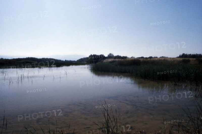 Nature, Italy, region of Basilicata-Calabria 1975 Mouth of the river Crati Regional Park.