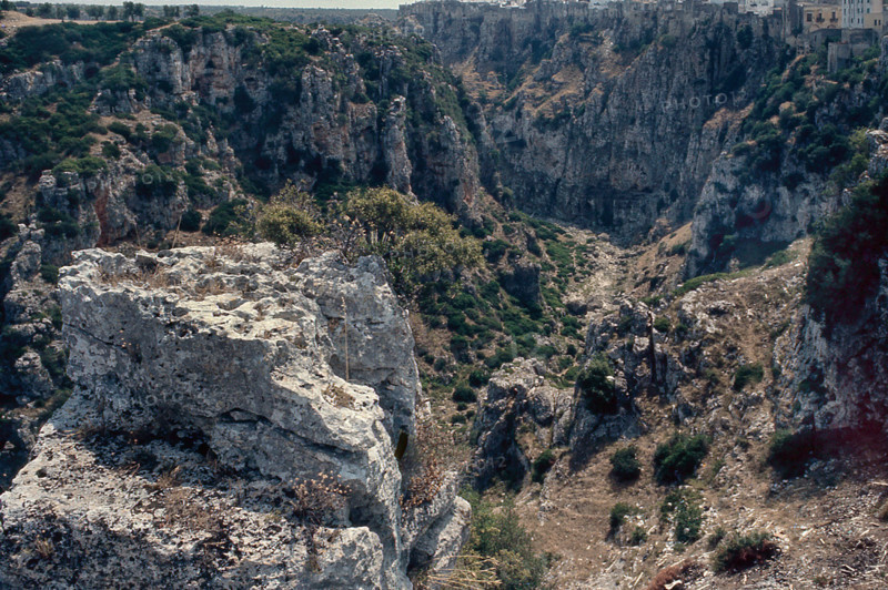 Nature, Italy, region of Puglia 1975 Gravina di Castellaneta.