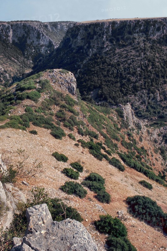 Nature, Italy, region of Puglia 1975 Gravina di Laterza.