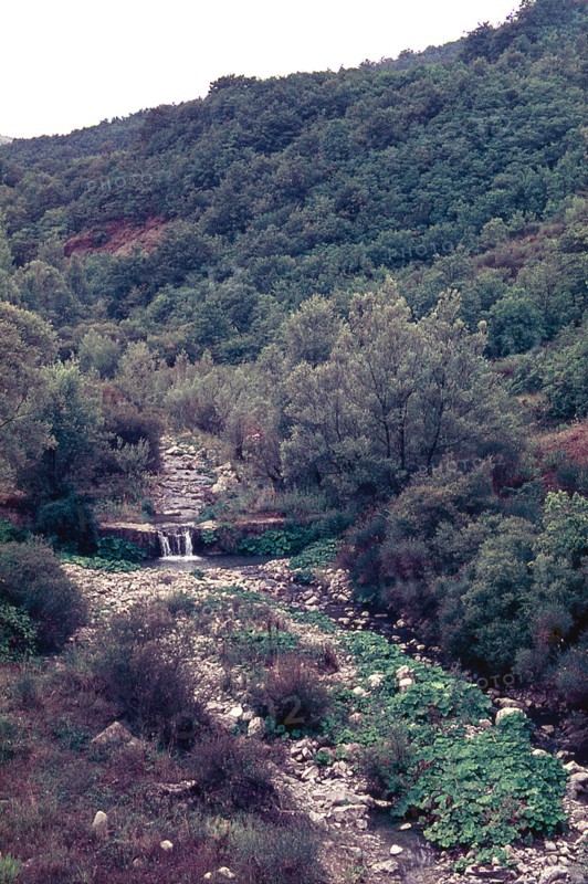 Nature, Italy, region of Puglia 1975 Valle del Celone (Celone Valley).