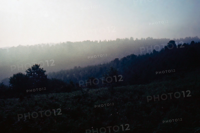 Nature, Italy, region of Puglia 1975 Foresta Umbra.