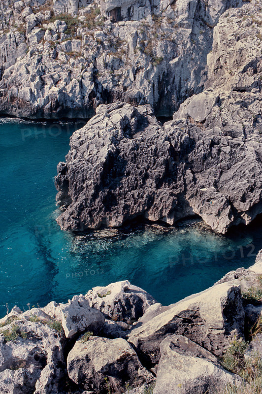 Nature, Italy, region of Puglia 1975 Costa del Salento (Salento coast).