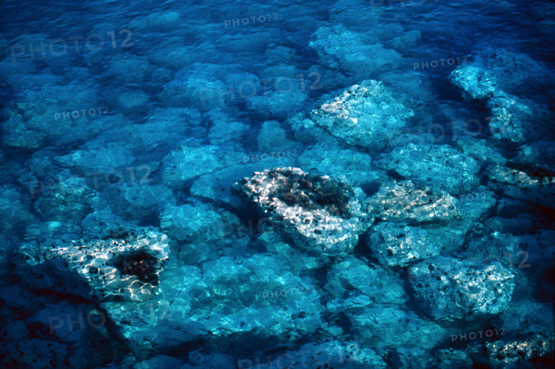 Nature, Italy, region of Puglia 1975 Costa del Salento (Salento coast).