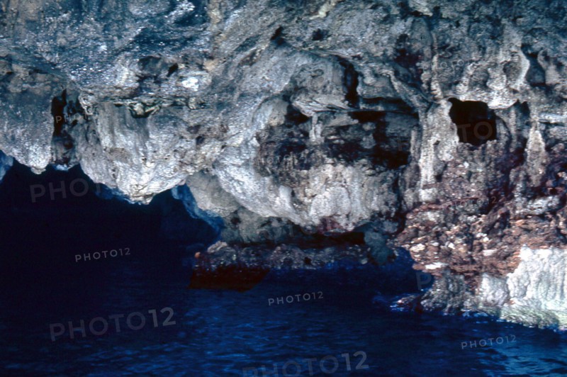 Nature, Italy, region of Puglia 1975 Costa del Salento (Salento coast).
