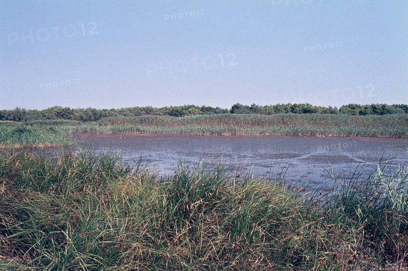Nature, Italy, region of Puglia 1975 Lago di Salinella (Salinella lake).