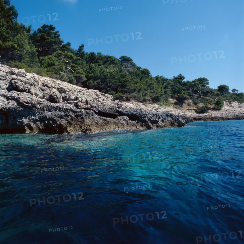 Nature, Italy, region of Puglia 1975 Isole Tremiti (Tremiti islands).