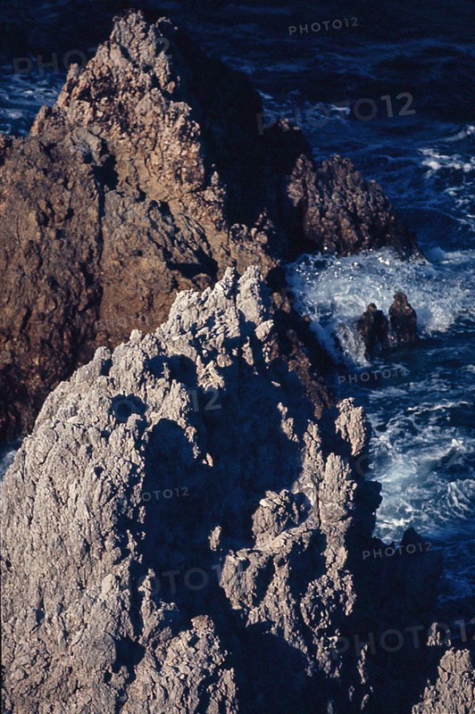 Nature, Italy, region of Puglia 1975 Isole Tremiti (Tremiti islands).